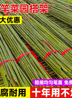 竹竿菜园搭架蚊帐支架实心长竹子杆蔬菜爬藤架黄瓜豆角架旗杆批发