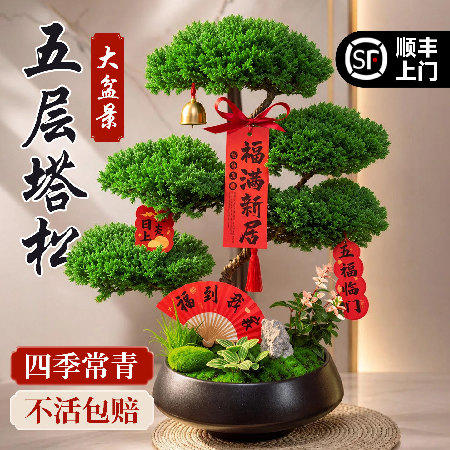 五层塔松盆栽绿植乔迁新居开业祝寿教师节礼物迎客松盆景室内植物