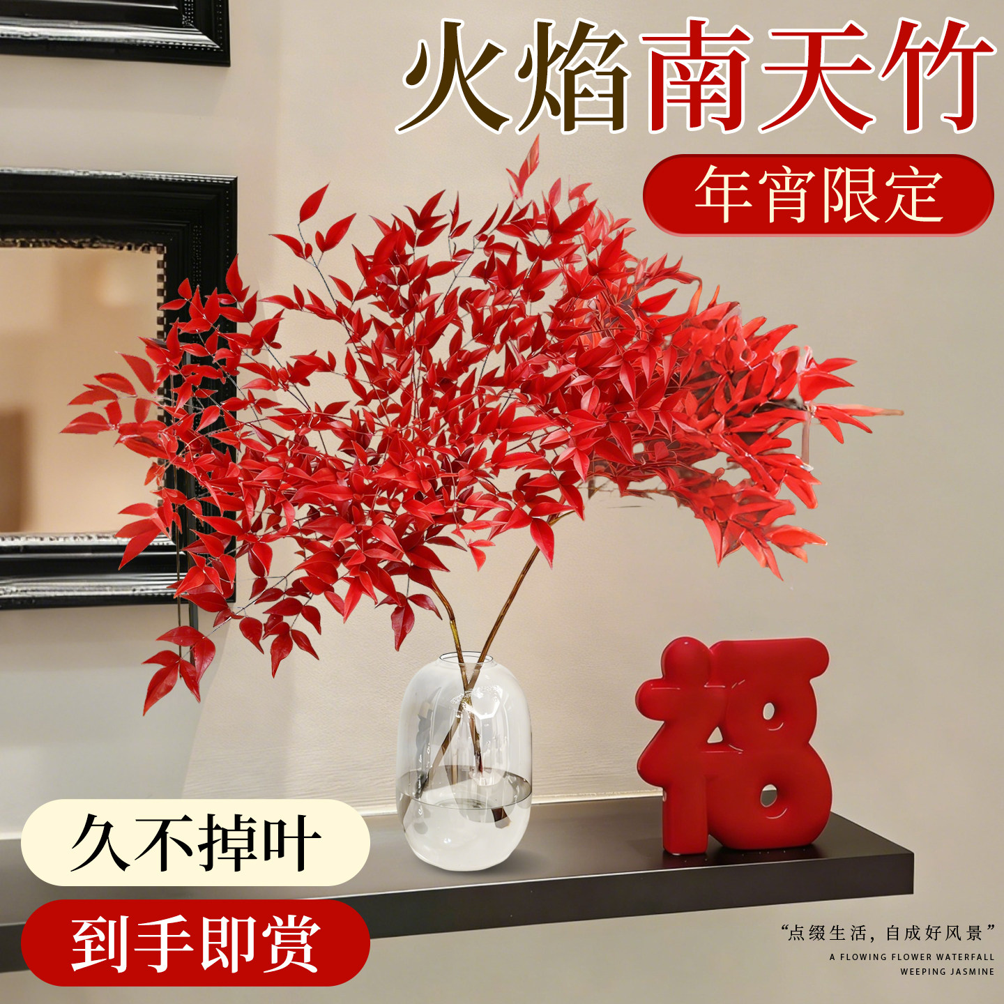 南天竹纯水培植物室内好养客厅绿植摆件盆栽火焰红马醉木吊钟带根,鲜花速递/花卉仿真/绿植园艺,大型绿植/成品组合盆栽,淘宝优惠券,粉丝福利购,淘宝优惠卷