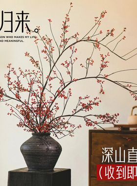 山归来蔷薇果水培植物鲜切插花干花南蛇藤花束水养桌面绿植好养活