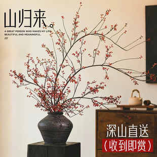 山归来蔷薇果水培植物鲜切插花干花南蛇藤花束水养桌面绿植好养活