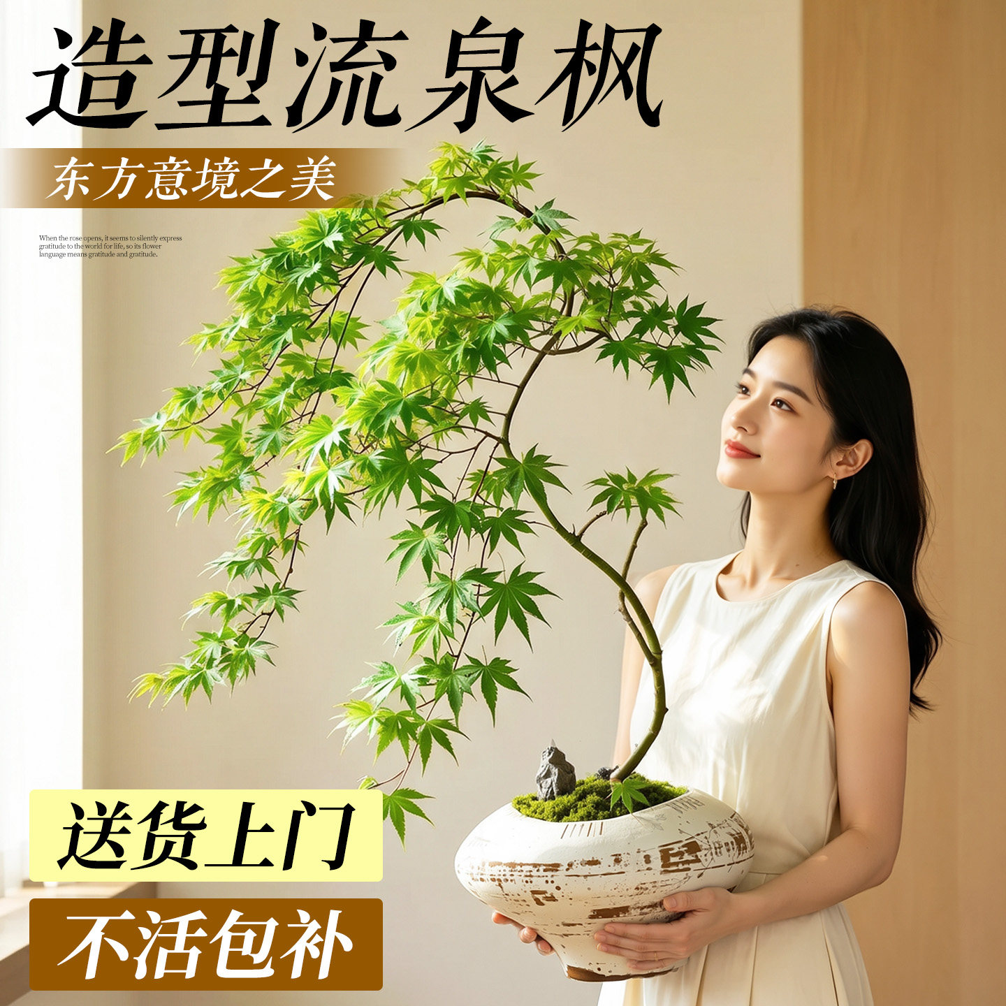 造型流泉枫盆栽室内大型绿植物客厅日系禅意高级感盆景观四季好养