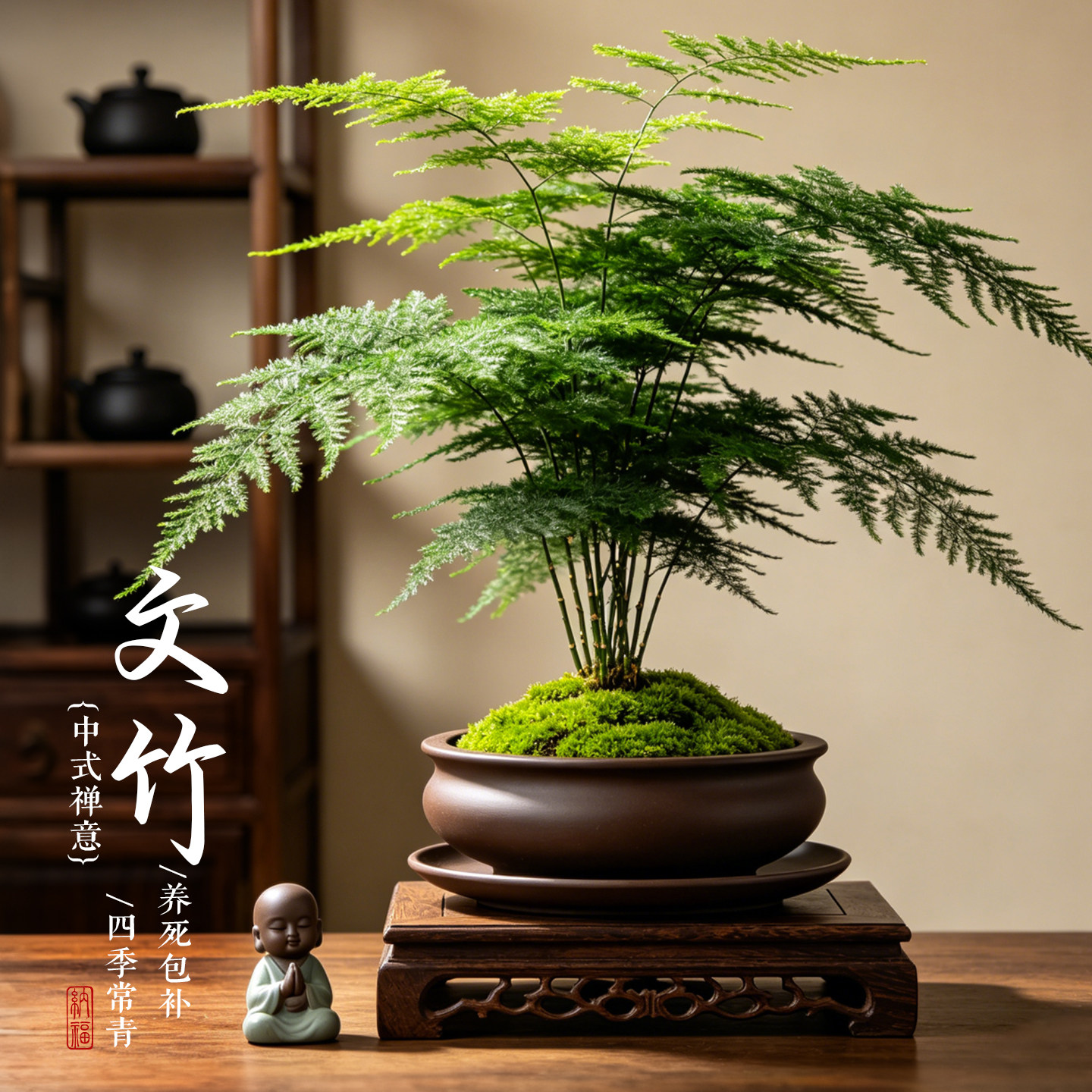 文竹盆栽大室内盆景客厅植物禅意办公室绿植好养四季常青高端花卉