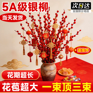 银柳真花鲜枝客厅摆件红色年宵花花卉干花干枝盆栽抱抱桶水培植物