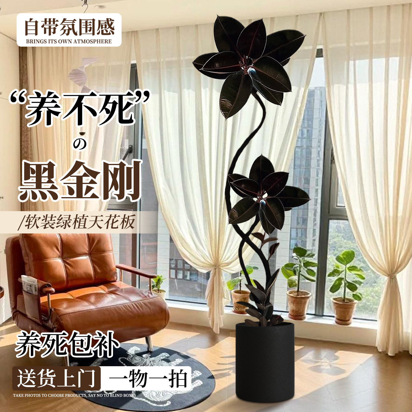 黑金刚橡皮树绿植高级感客厅大型盆栽高端大气上档次轻奢大号好养,鲜花速递/花卉仿真/绿植园艺,大型绿植/成品组合盆栽,淘宝优惠券,粉丝福利购,淘宝优惠卷