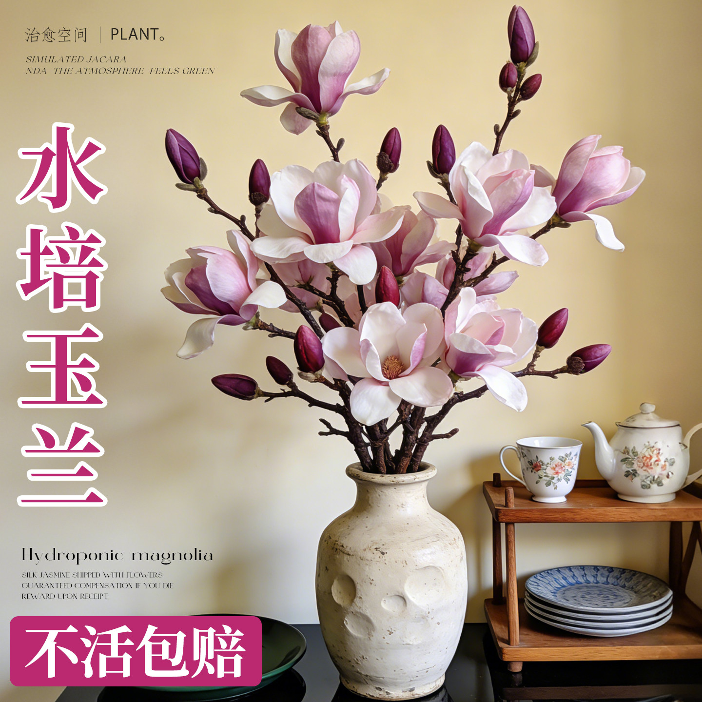 水培玉兰鲜切年宵花带苞真花新年装饰客厅摆件室内好养绿植办公室