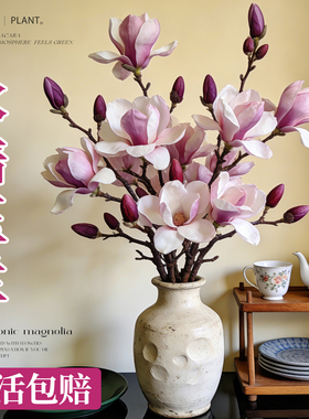 水培玉兰鲜切年宵花带苞真花新年装饰客厅摆件室内好养绿植办公室