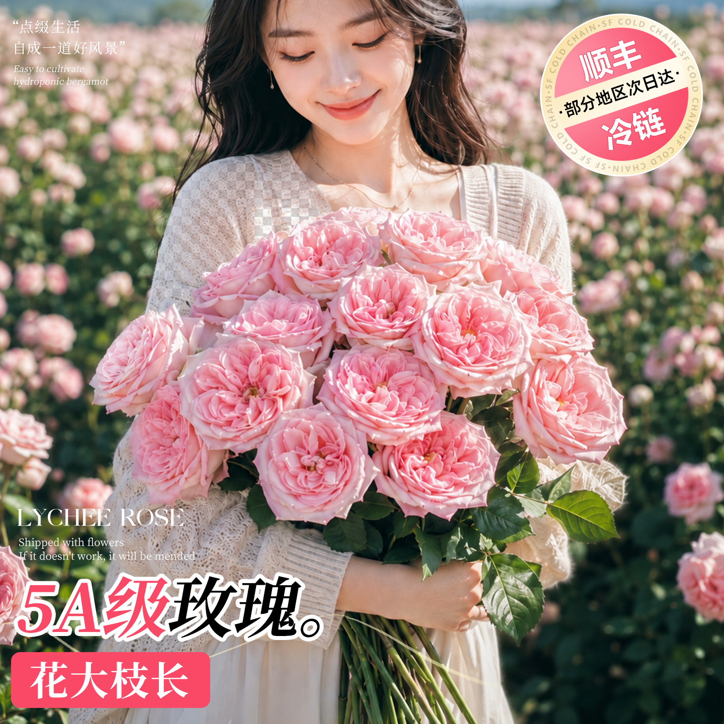 粉荔枝玫瑰花鲜花云南基地直发图片