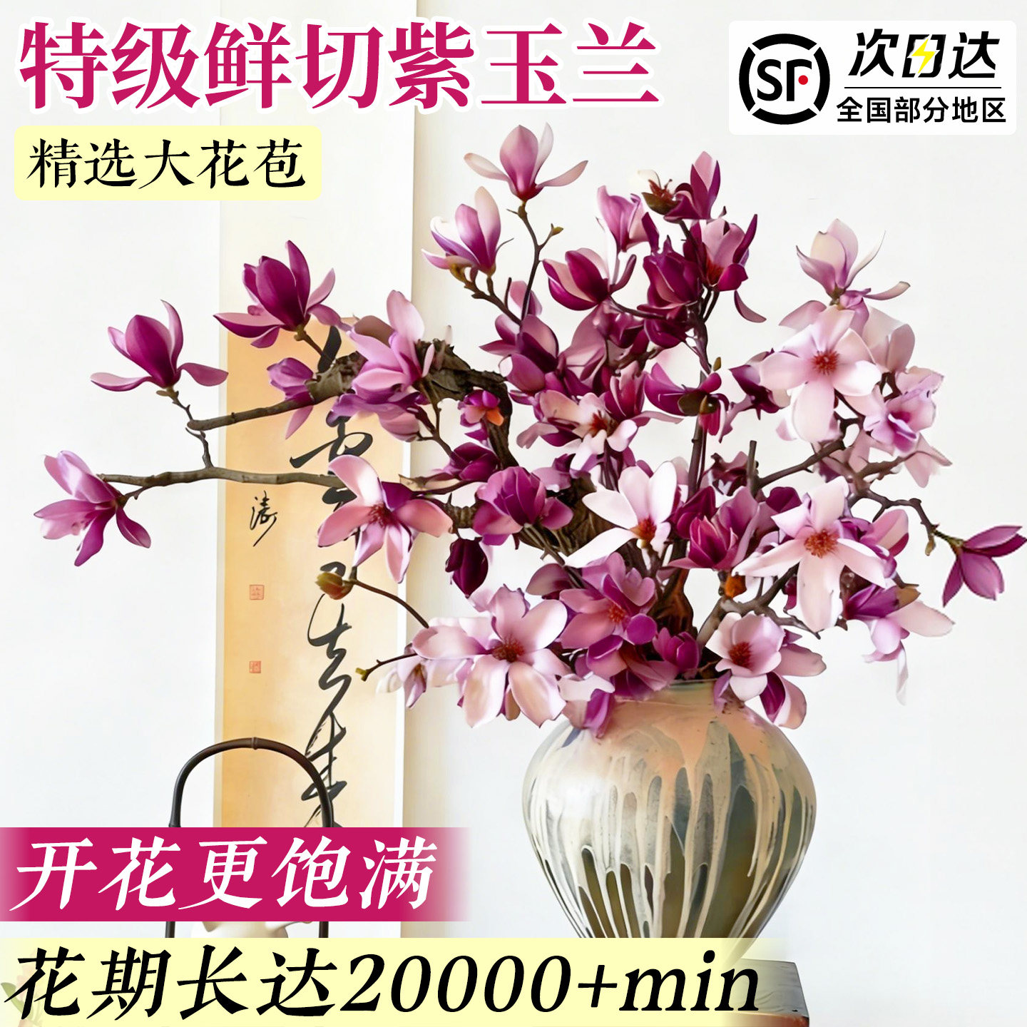 紫玉兰花鲜切枝带花苞水培室内植物好养客厅轻奢绿植家用插花耐寒