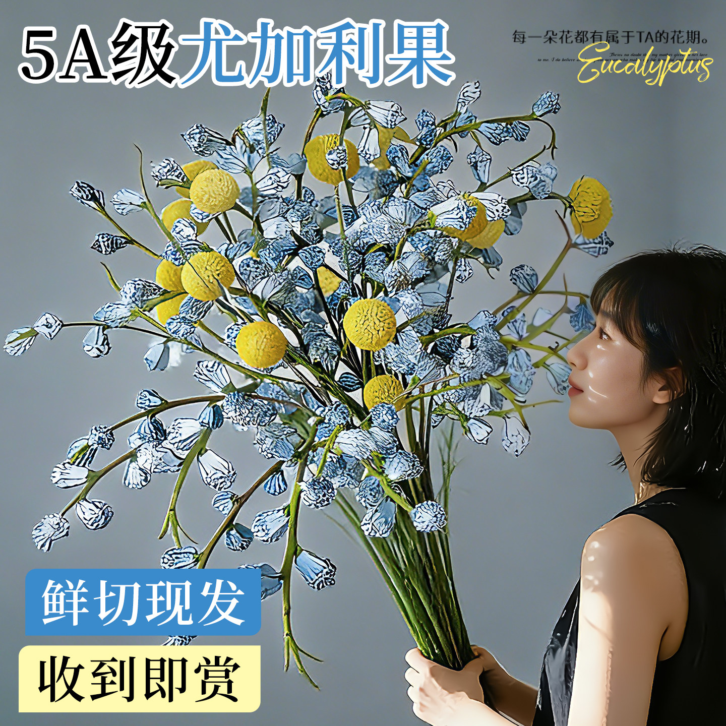 钻石尤加利果鲜花干花干果真花鲜切新果大枝云南基地直发现采花材,鲜花速递/花卉仿真/绿植园艺,花材,淘宝优惠券,粉丝福利购,淘宝优惠卷