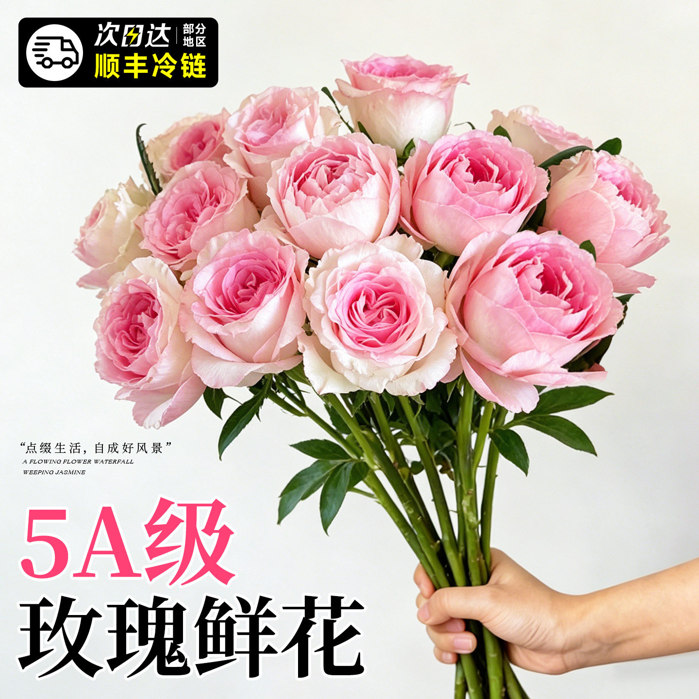 5A级玫瑰花鲜花云南基地直发图片