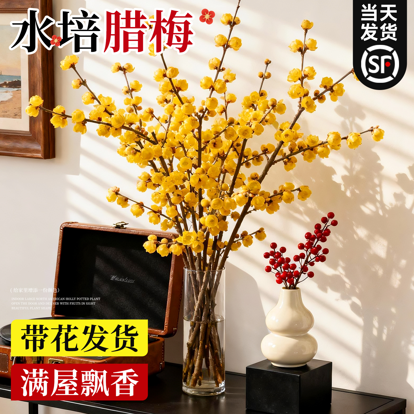 腊梅花鲜花纯水培植物室内好养梅花鲜切干枝插花花卉桌摆年宵鲜枝