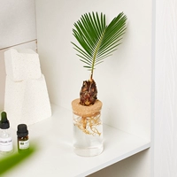 Одно железное дерево+вулканическая чашка