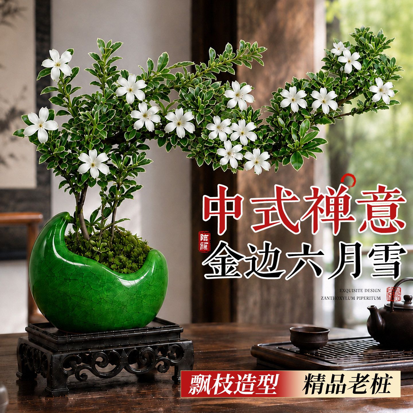 飘枝六月雪室内禅意桌面盆栽花卉图片