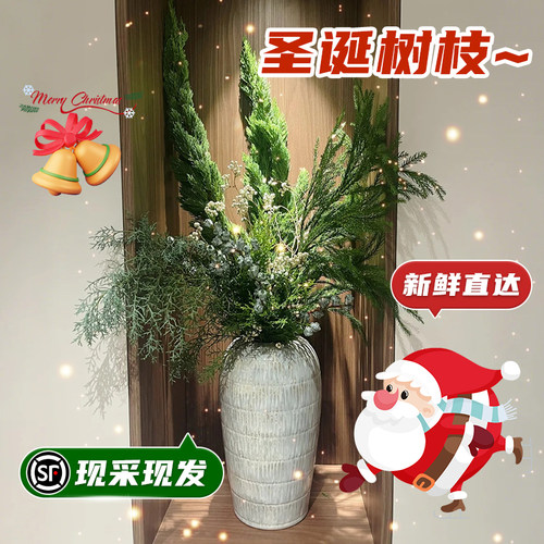 新鲜松柏枝家用插花圣诞DIY材料