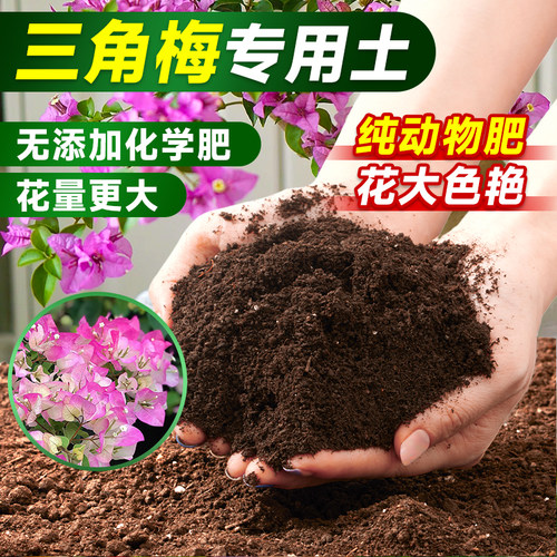 三角梅专用土营养土养花通用花土