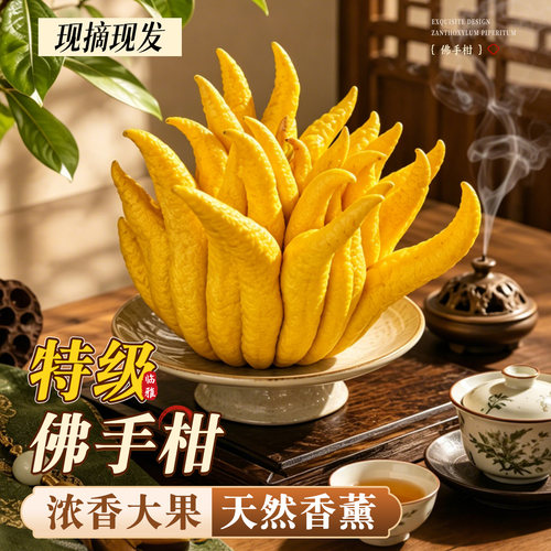 【现摘现发】特级大果佛手柑