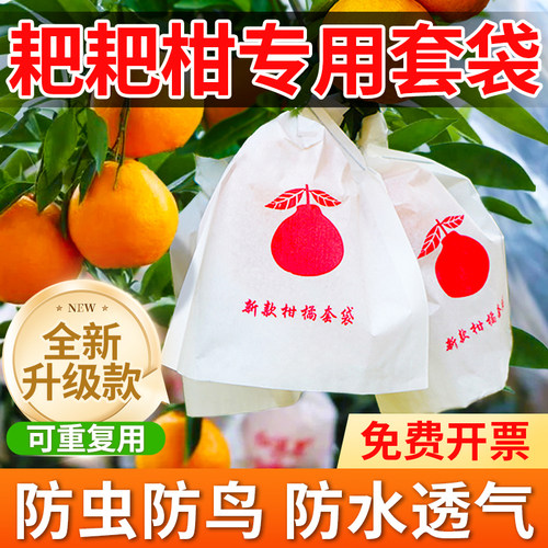 耙耙柑专用套袋柑橘套袋防虫防鸟