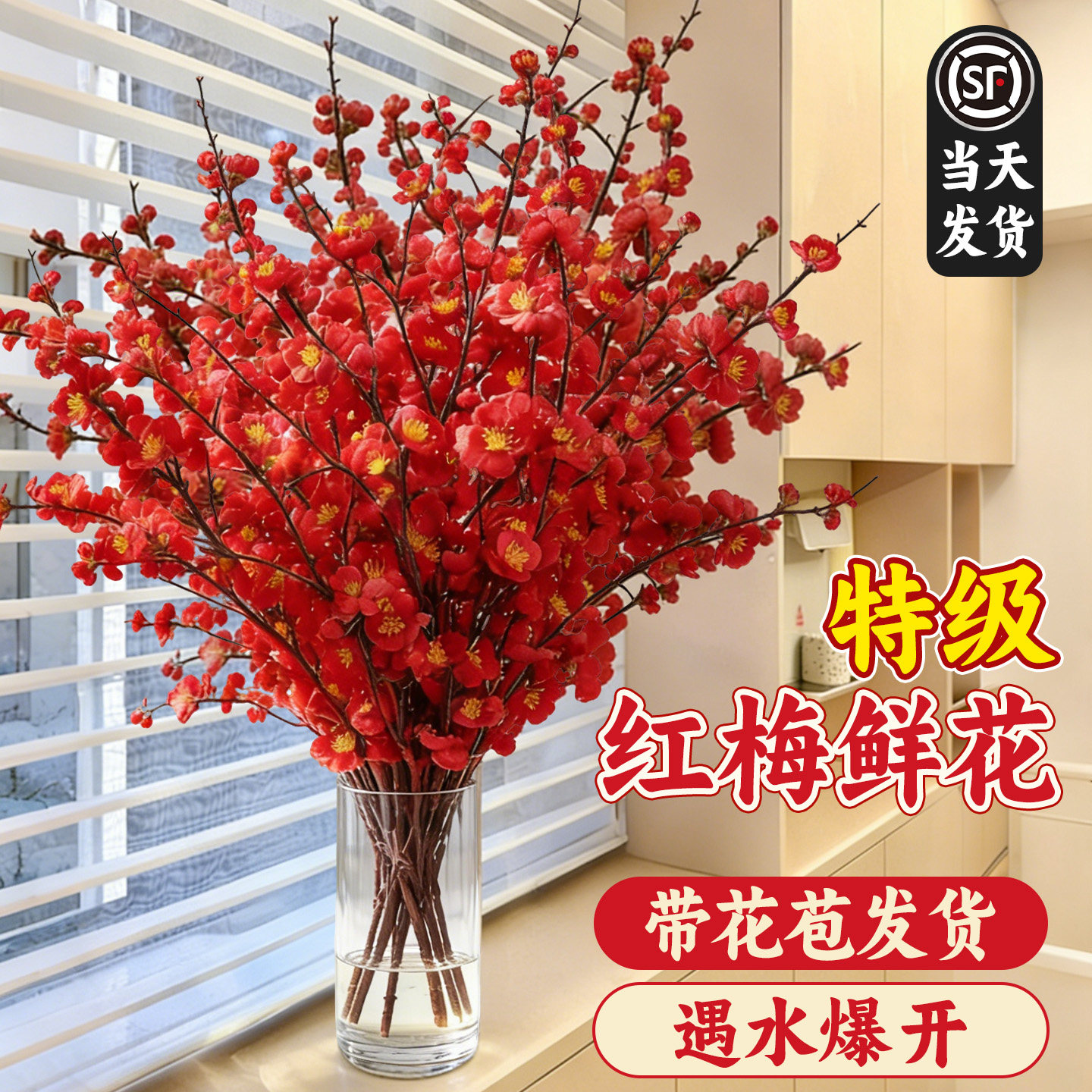红梅干枝水培真花鲜枝腊梅花鲜花室内家用插花鲜切花花卉绿植植物