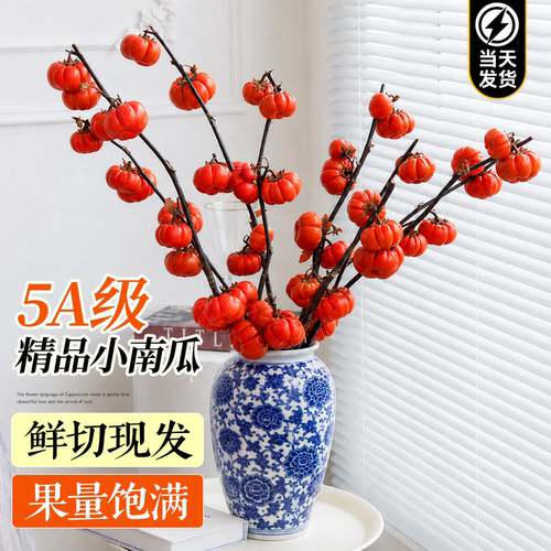 鲜切小南瓜带果冷链发货