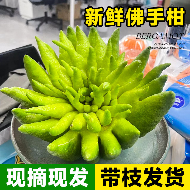 金华佛手鲜果带枝发货佛手柑室内水培观赏闻香清供现摘现发好养活怎么样,好用不?