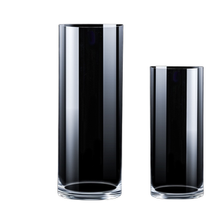 龙柳专用花瓶摆件客厅插花玻璃透明南天竹花瓶水培绿植水养高级感