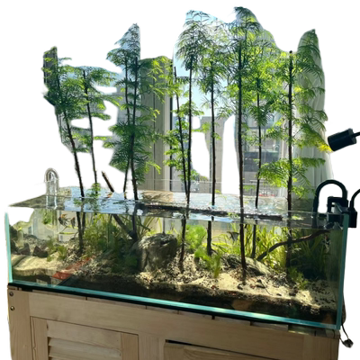 【鱼缸专用】水培水杉溪流缸造景