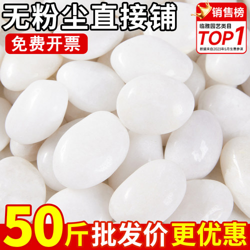 50斤白色鹅卵石天然原石铺地造景