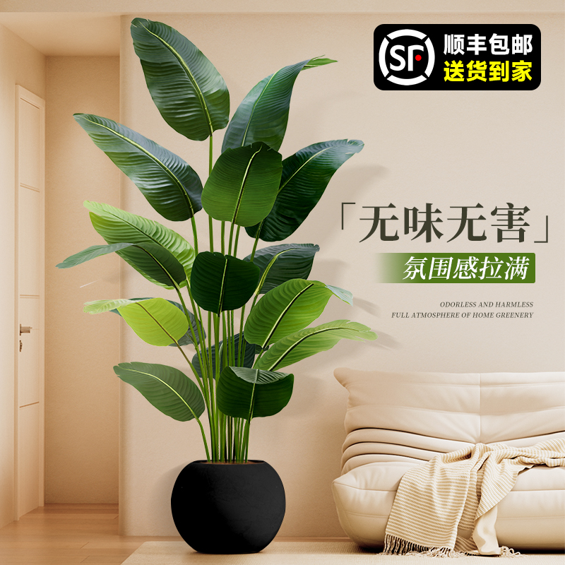 旅人蕉家绿植仿真花无味无害摆件
