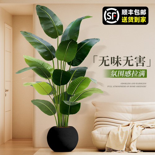 旅人蕉家绿植仿真花无味无害摆件