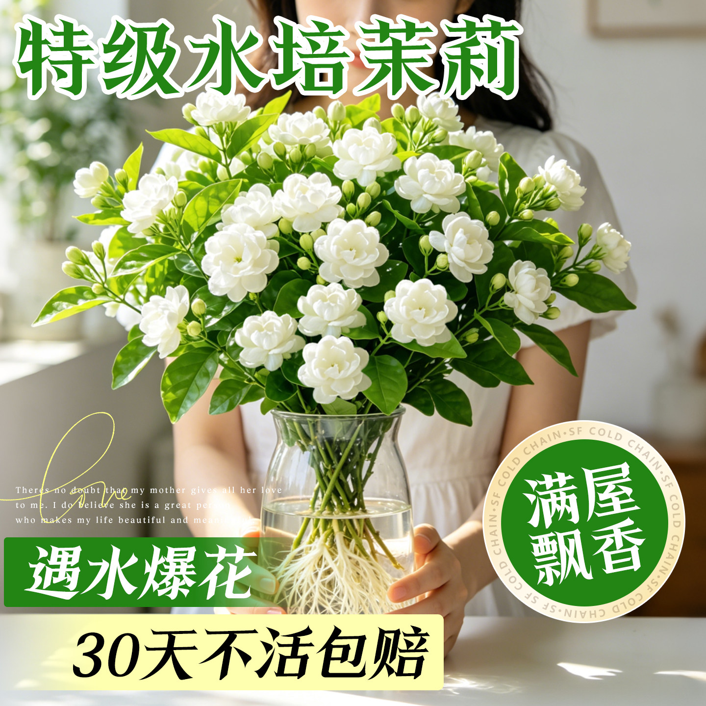 水培茉莉花带花苞花苗四季鲜花开花卉室内办公室桌面水养绿植好养