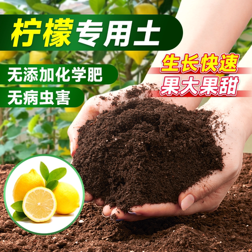 临雅柠檬营养土营养土