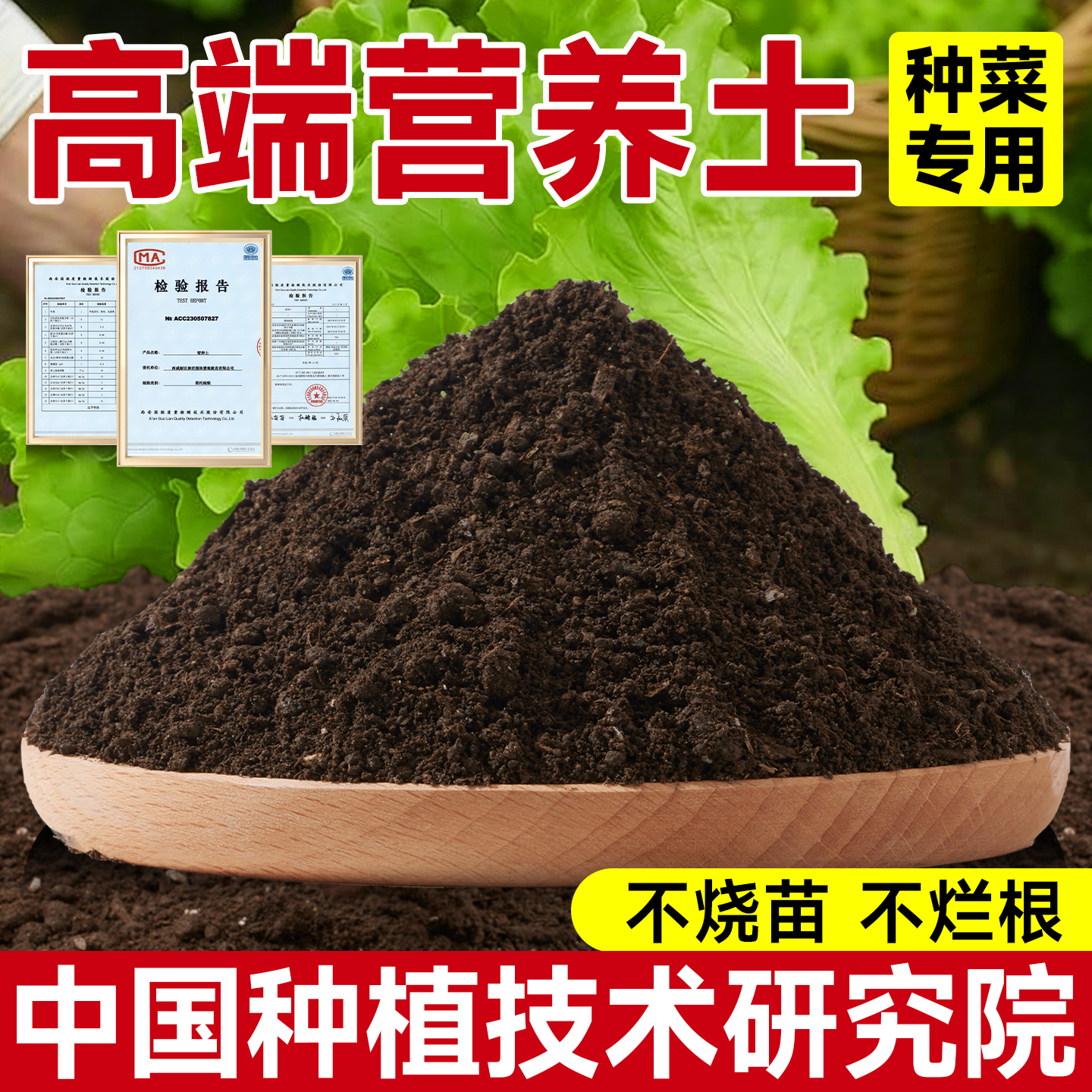 种菜营养土肥效持久育苗壮根