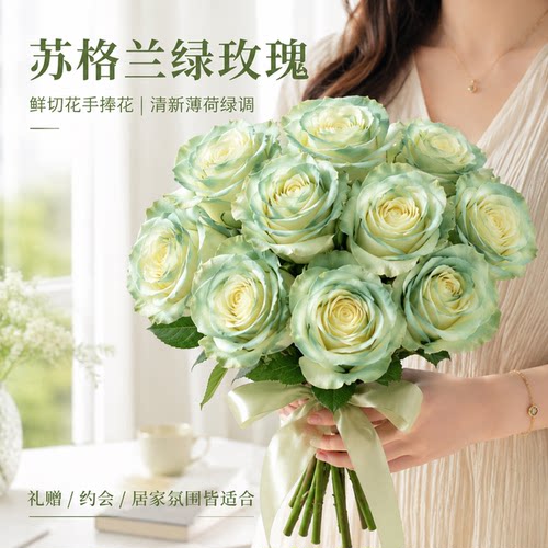 【花期超长】苏格兰绿玫瑰鲜花束