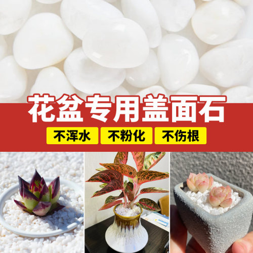 花盆盖面石多肉石子颗粒专用铺面