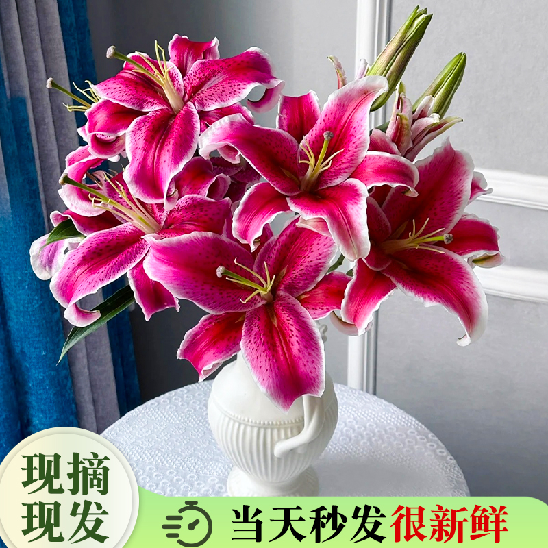 百合鲜花现采现发新鲜花苞花期长
