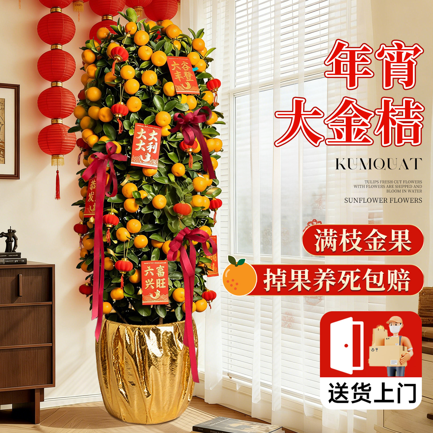 金桔树盆栽带果可食用客厅大型植物四季年桔子橘子树苗室内好养,鲜花速递/花卉仿真/绿植园艺,大型绿植/成品组合盆栽,淘宝优惠券,粉丝福利购,淘宝优惠卷