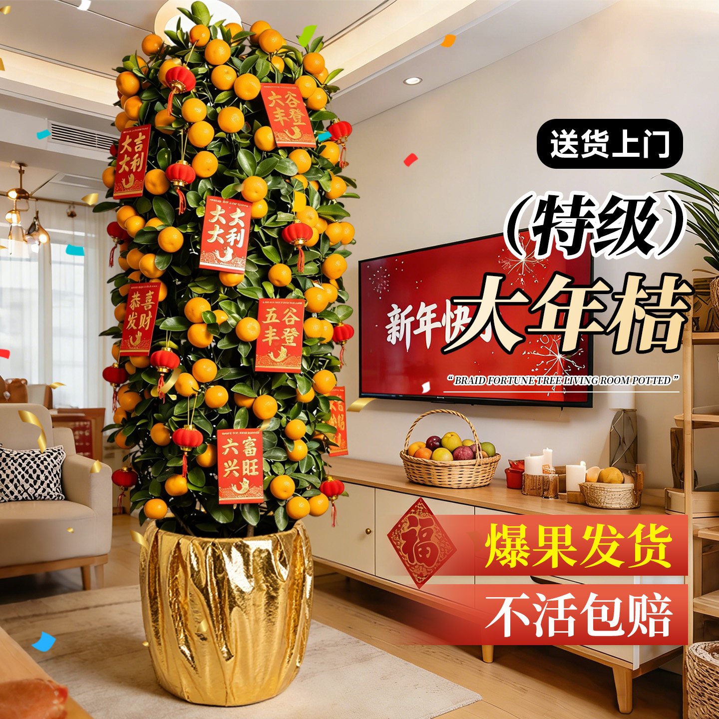 金桔树盆栽可食用客厅绿植室内大型植物橘子年桔年宵盆景四季好养,鲜花速递/花卉仿真/绿植园艺,大型绿植/成品组合盆栽,淘宝优惠券,粉丝福利购,淘宝优惠卷