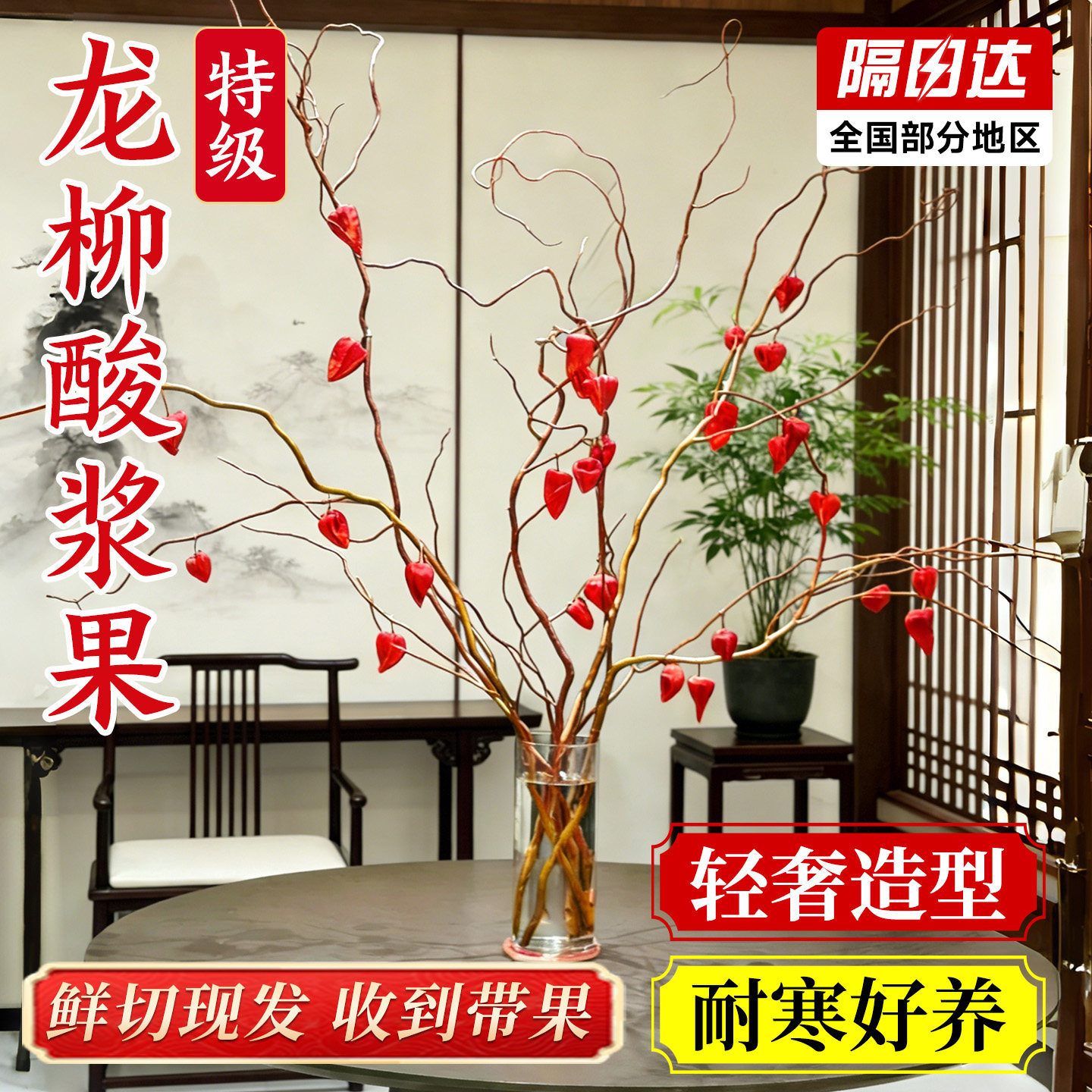 金龙柳酸浆果鲜切花枝云南直发四季高级感侘寂风室内水培植物好养,鲜花速递/花卉仿真/绿植园艺,花材,淘宝优惠券,粉丝福利购,淘宝优惠卷