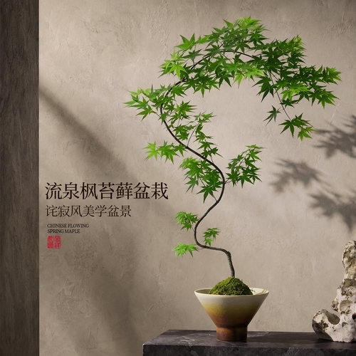 精品造型流泉枫盆栽盆景绿植