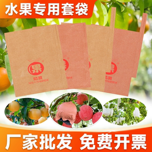 水果套袋葡萄专用套袋防鸟防虫神器桃子梨子芒果袋子丝瓜苦瓜纸袋