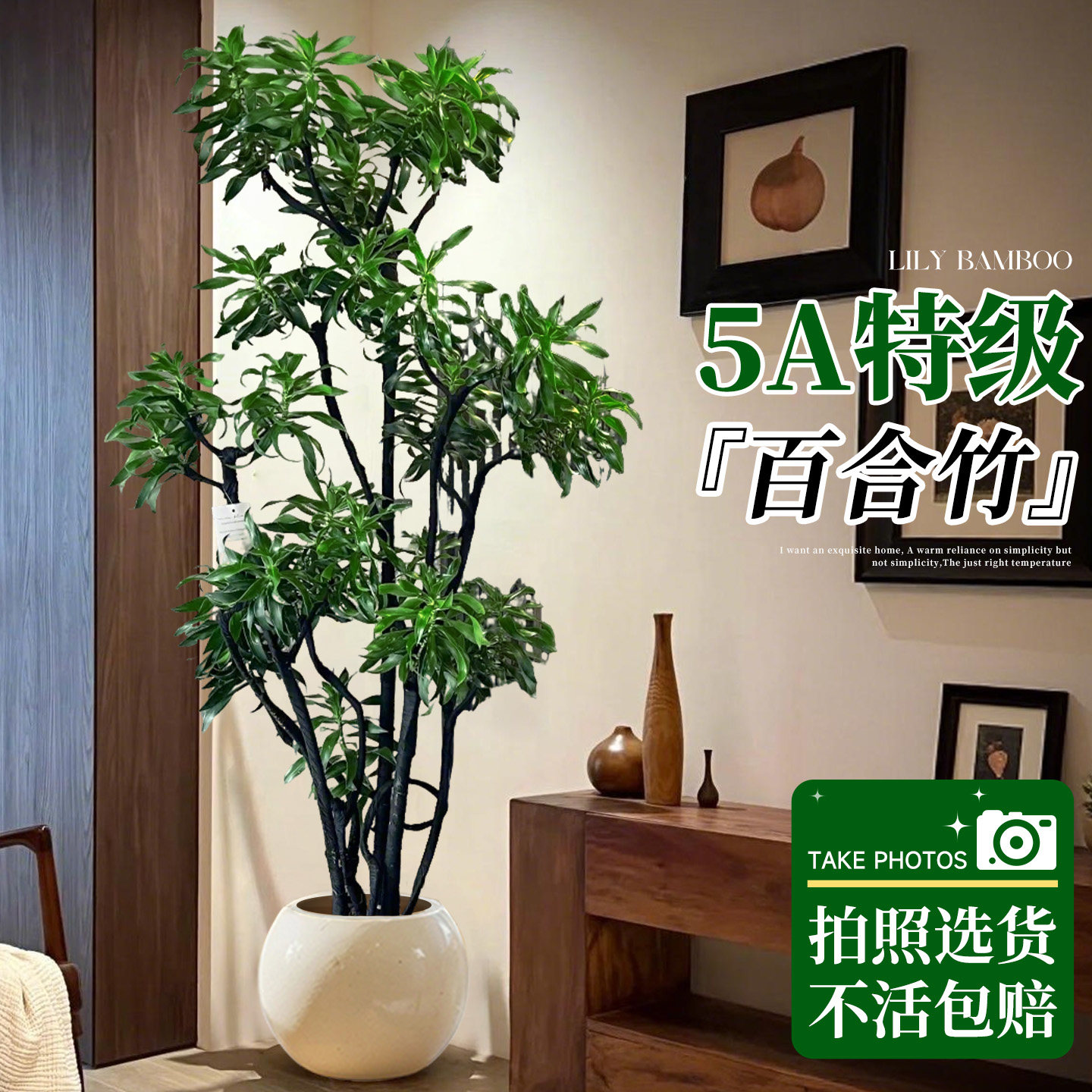 造型百合竹客厅绿植高级感室内大型植物盆栽落地高端大气上档次,鲜花速递/花卉仿真/绿植园艺,大型绿植/成品组合盆栽,淘宝优惠券,粉丝福利购,淘宝优惠卷