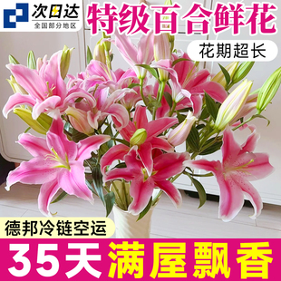 百合花鲜花云南基地直发玫瑰花鲜切花家用插花瓶水培超长花期花卉