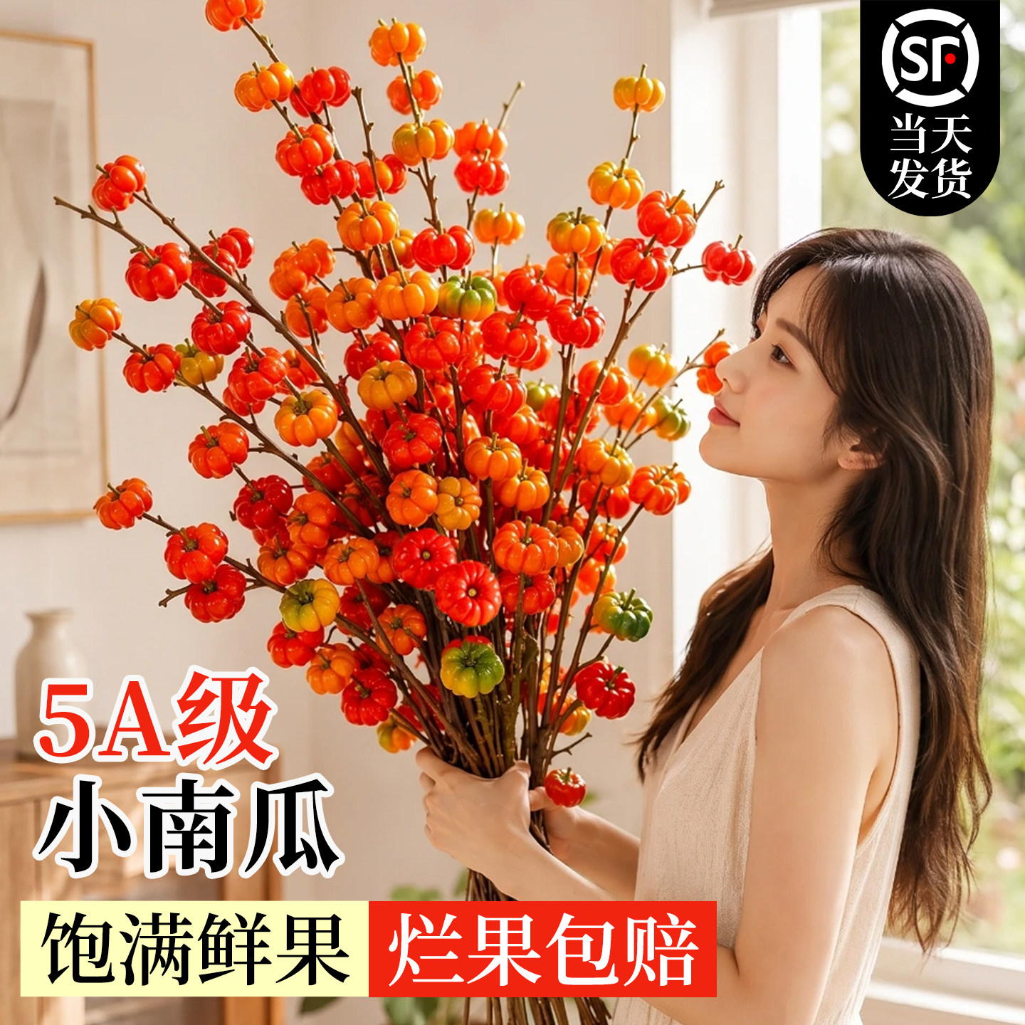 小南瓜鲜切枝鲜花云南基地直发顺丰次日达水培插花干花室内装饰品