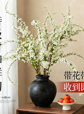 雪柳鲜枝带花苞干支纯水培植物室内好养花卉绿植盆栽桌面水养龙柳