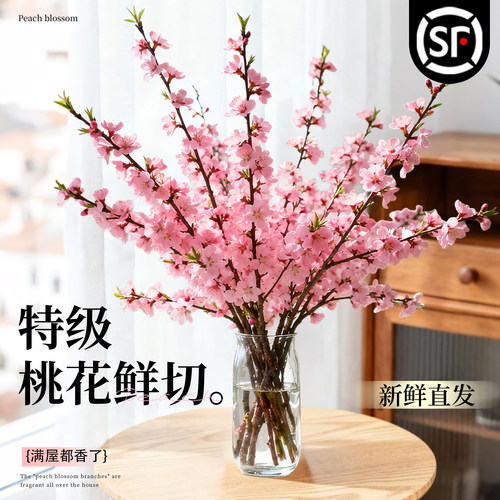 【桃花鲜切枝】花苞发货遇水爆开
