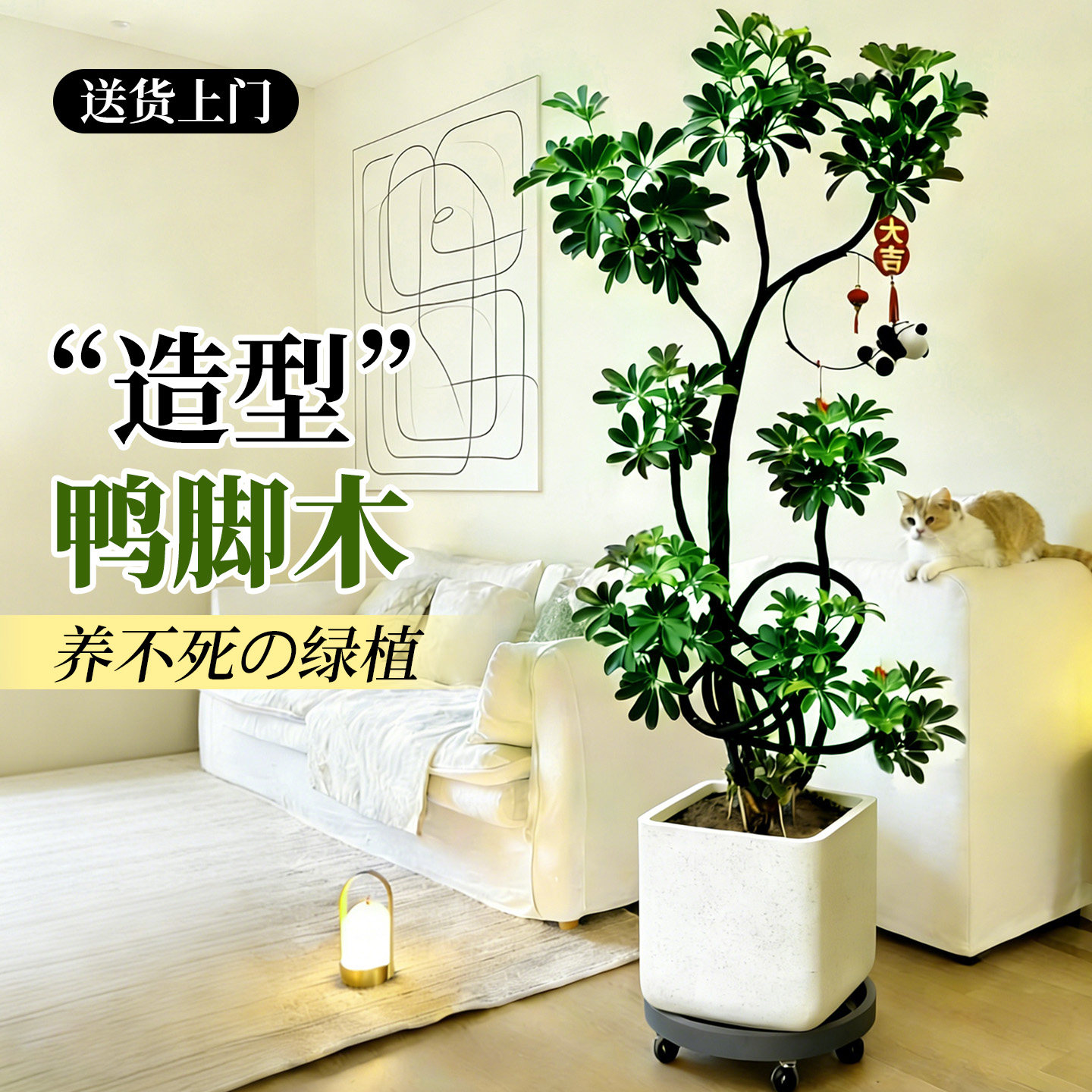 造型鸭脚木客厅绿植高级感室内大型盆栽高端大气上档次落地鸭掌木,鲜花速递/花卉仿真/绿植园艺,大型绿植/成品组合盆栽,淘宝优惠券,粉丝福利购,淘宝优惠卷