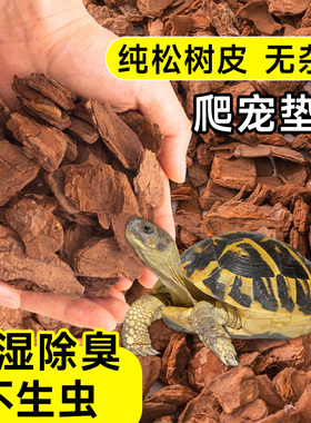 爬宠垫材乌龟爬虫箱松树皮陆龟蜥蜴守宫造景森林地表除臭保湿垫料