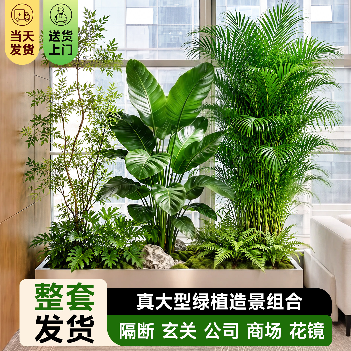 【全套送上门】大型绿植造景组合