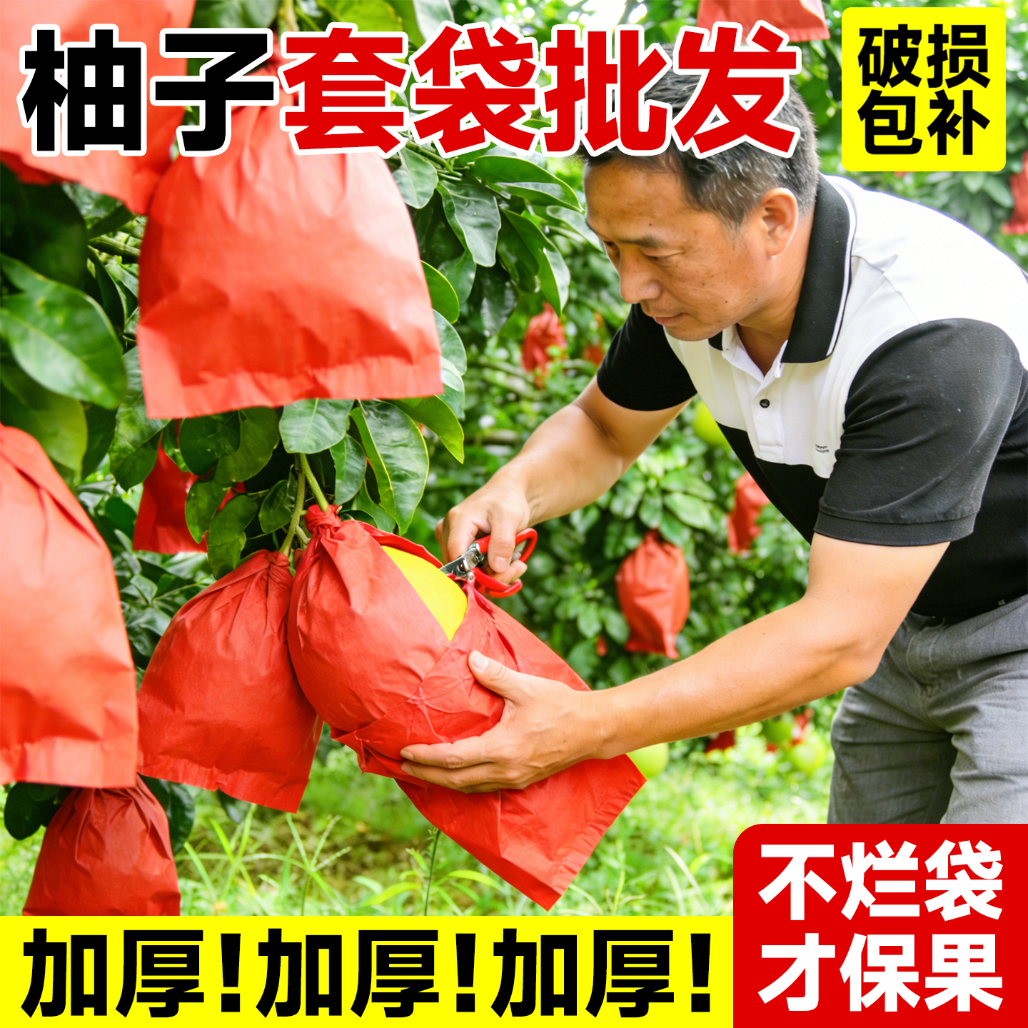 柚子专用套袋大号水果防水套袋葡萄柚瓜果袋果子防虫防鸟果树袋子
